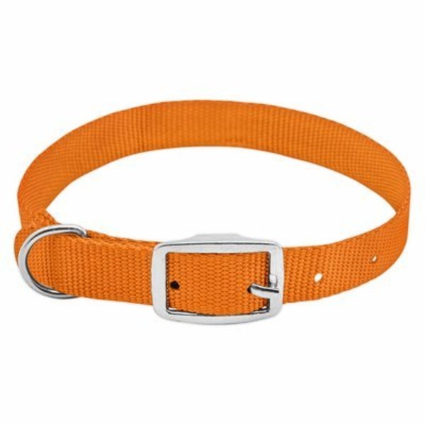 Westminster Pet Products Pe 3/4X20Org Dog Collar PE224307